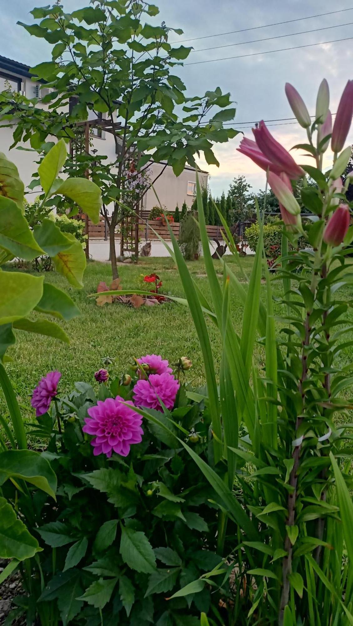 Ostoja Czersk Zamek Gora Kalwaria Apartment ภายนอก รูปภาพ